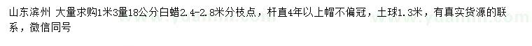 求購1.3米量18公分白蠟