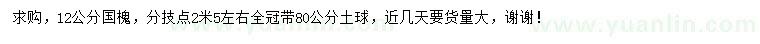 求購12公分國槐