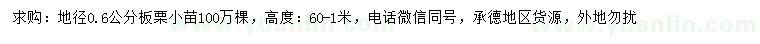 求購(gòu)高60-100公分板栗小苗