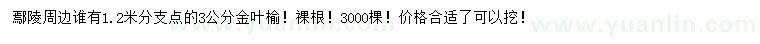 求購3公分金葉榆