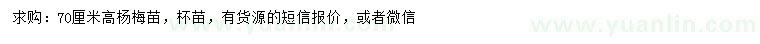 求購(gòu)高70公分楊梅苗