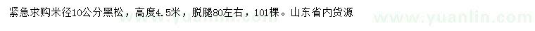 求購米徑10公分黑松