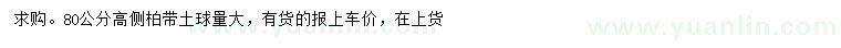 求購高80公分側(cè)柏