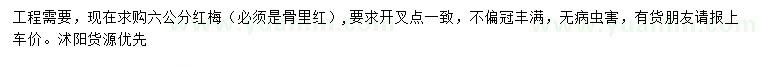 求購6公分紅梅