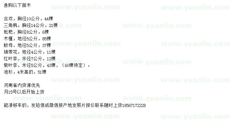求購合歡、三角楓、枇杷等