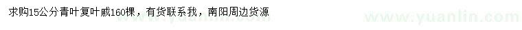 求購15公分青葉復葉槭