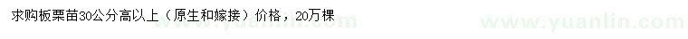 求購高30公分以上板栗苗