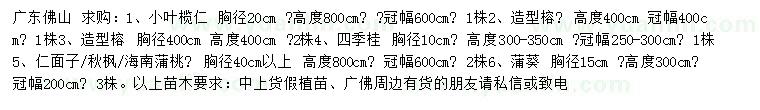 求購(gòu)小葉欖仁、造型榕、四季桂等