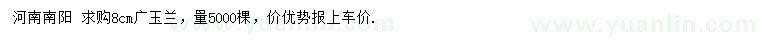 求購8公分廣玉蘭