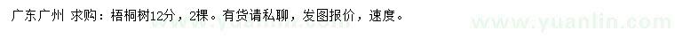 求購12公分梧桐樹