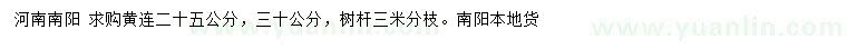 求購25、30公分黃連