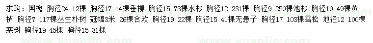 求購國槐、垂柳、水杉等