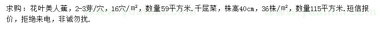 求購花葉美人蕉、千屈菜