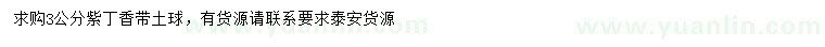 求購(gòu)3公分紫丁香