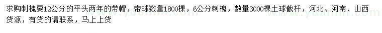 求購6、12公分刺槐