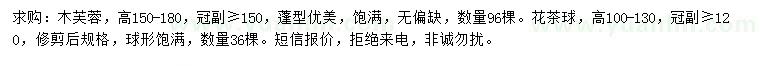 求購高150-180公分木芙蓉、100-130公分茶花球
