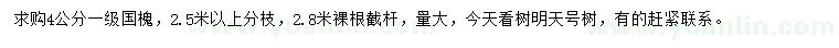 求購4公分國槐