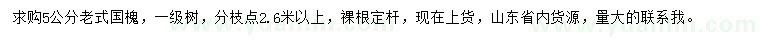 求購5公分老式國槐