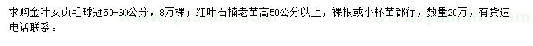 求購冠50-60公分金葉女貞、高50公分以上紅葉石楠