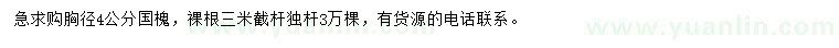 求購胸徑4公分國槐