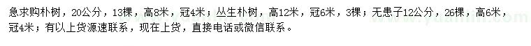 求購(gòu)20公分樸樹、叢生樸樹、12公分無(wú)患子