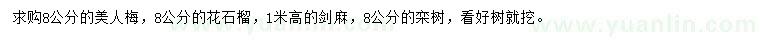 求購美人梅、花石榴、劍麻等