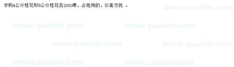 求購(gòu)4、5公分桂花