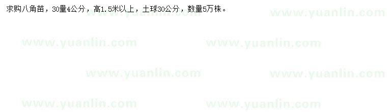 求購30量4公分八角苗