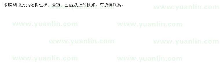 求購胸徑15公分楸樹