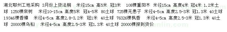 求購法桐、重陽木、欒樹等