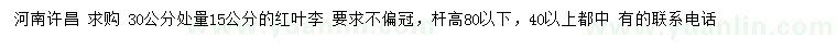 求購(gòu)30公分處量15公分紅葉李
