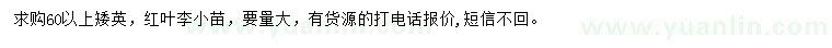 求購60公分以上矮櫻、紅葉李小苗