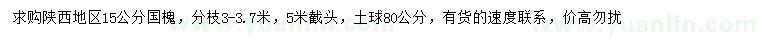 求購(gòu)15公分國(guó)槐