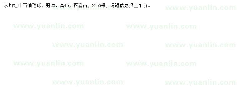 求購冠幅20公分紅葉石楠球