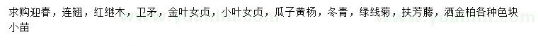 求購迎春、連翹、紅繼木等