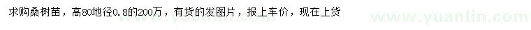 求購地徑0.8公分桑樹苗