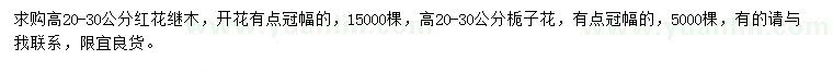 求購高20-30公分紅花繼木、梔子花