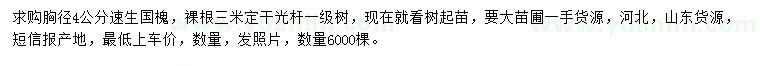 求購胸徑4公分速生國槐