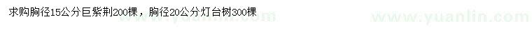 求購(gòu)胸徑15公分巨紫荊、20公分燈臺(tái)樹