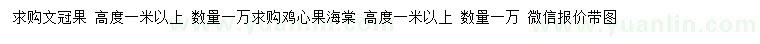 求購高1米以上文冠果、雞心果海棠