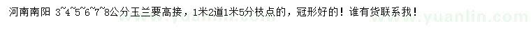 求購3、4、5、6、7、8公分玉蘭