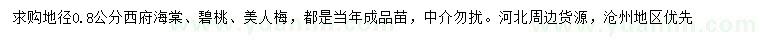 求購西府海棠、碧桃、美人梅