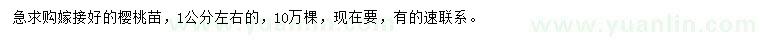 求購1公分左右嫁接好的櫻桃苗