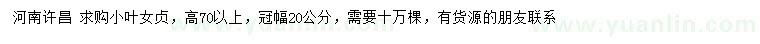 求購(gòu)高70公分以上小葉女貞