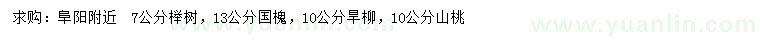 求購(gòu)櫸樹、國(guó)槐、旱柳等