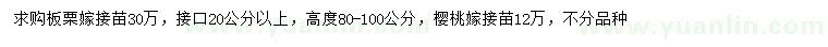 求購(gòu)接口20公分以上嫁接板栗苗