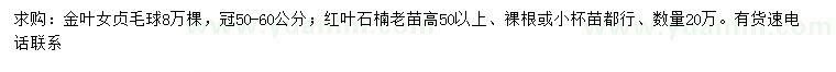 求購冠50-60公分金葉女貞毛球、高50公分以上紅葉石楠