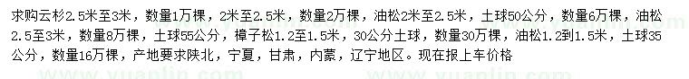 求購云杉、油松、樟子松