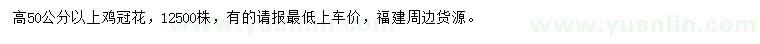 求購高50公分以上雞冠花