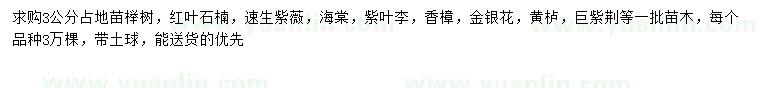 求購(gòu)櫸樹(shù)、紅葉石楠、速生紫薇等